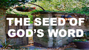 The-seed-of-gods-word